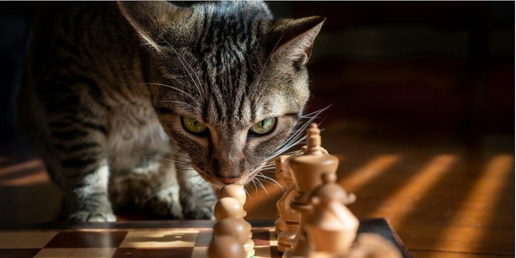 You are currently viewing Von der Tak­tik zur Stra­te­gie — ein Schachvortrag